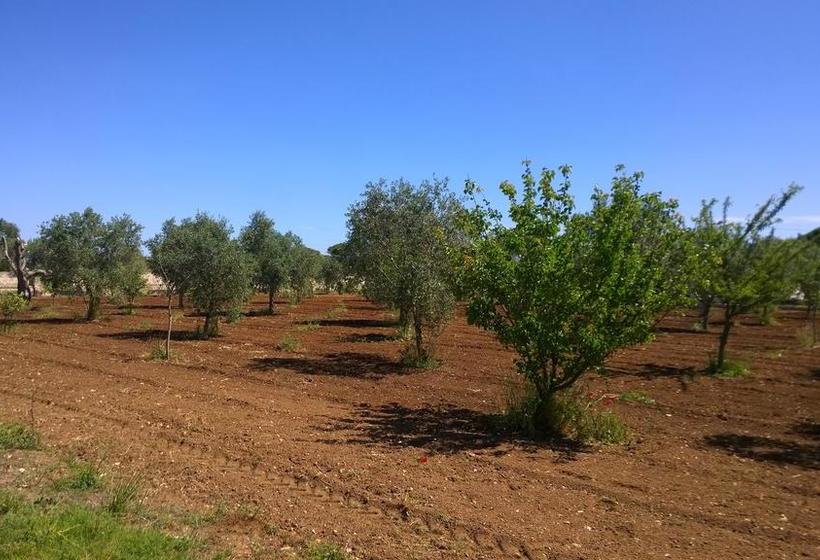 Donna Rosa B&b  | Otranto | Lecce | Italia 15