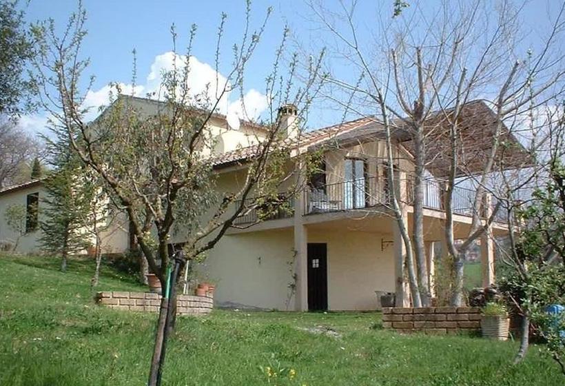 B&b Ulivi Romani  | Poggio Mirteto | Rieti | Italia 2