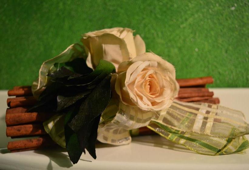 Bed and Breakfast Il Viaggiatore  | Anagni | Frosinone | Italia 4