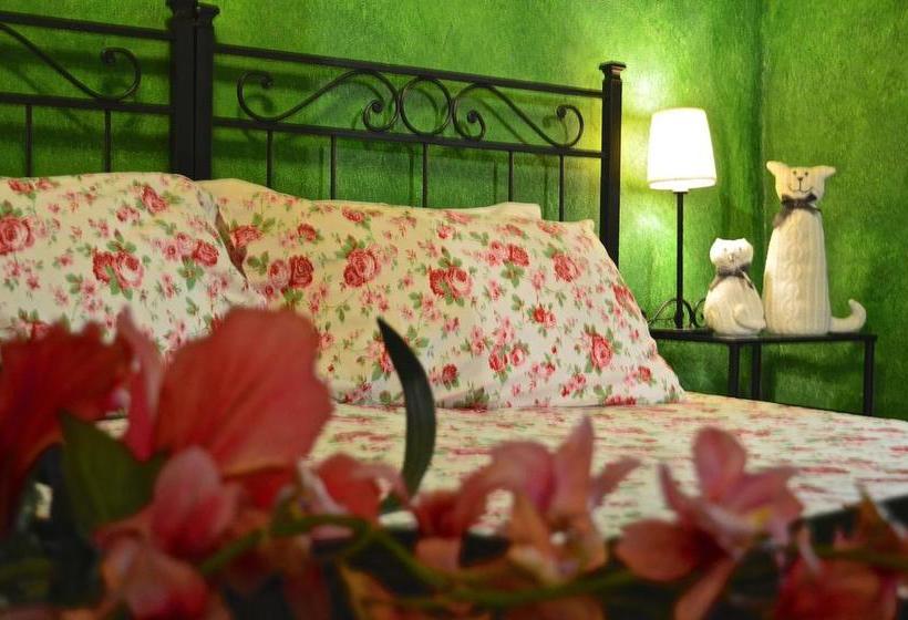 Bed and Breakfast Il Viaggiatore  | Anagni | Frosinone | Italia 6