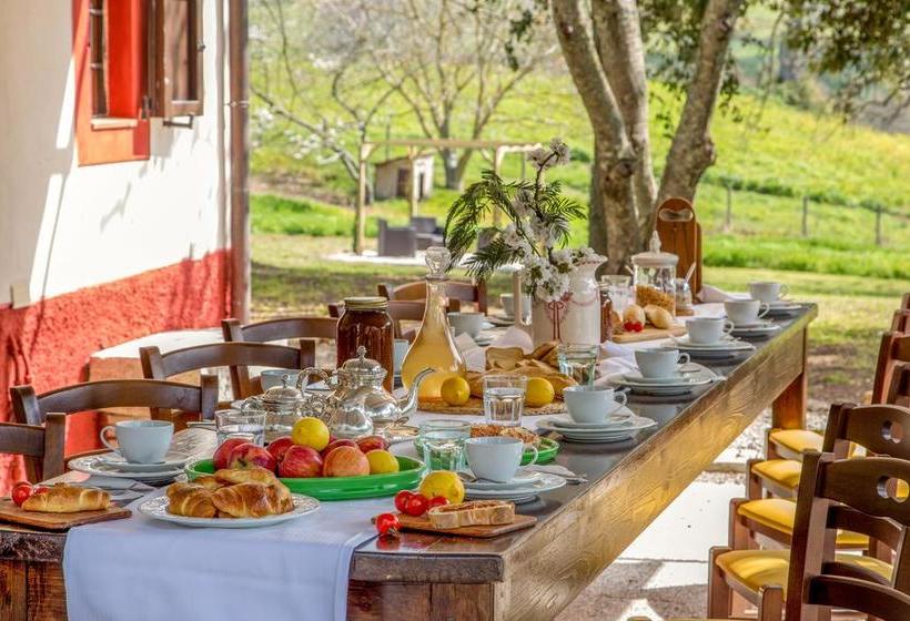 Bed and Breakfast Borgovera Tuscany Vacation  | Manciano | Grosseto | Italia 12