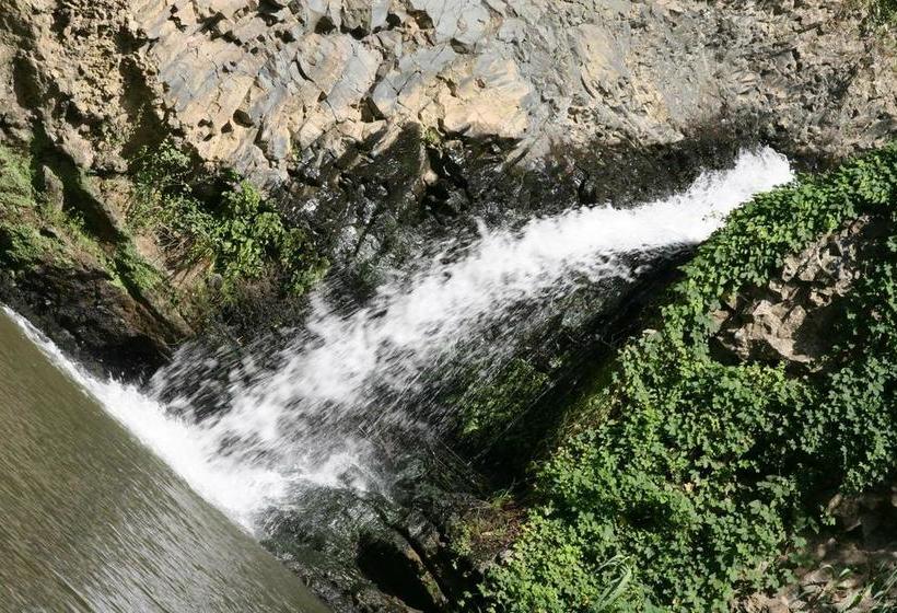 Il Giardino Dei Flintstones B&b  | Cerveteri | Roma | Italia 14