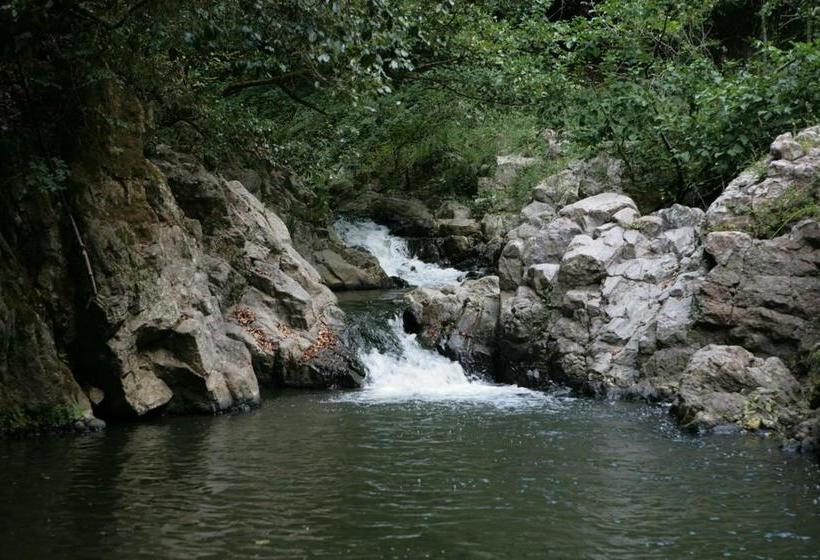 Il Giardino Dei Flintstones B&b  | Cerveteri | Roma | Italia 15