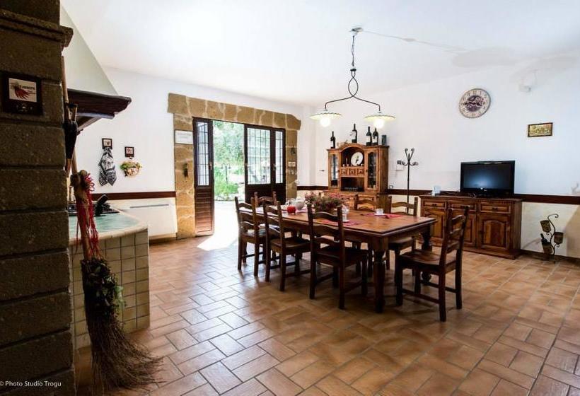 Il Giardino Dei Flintstones B&b  | Cerveteri | Roma | Italia 4