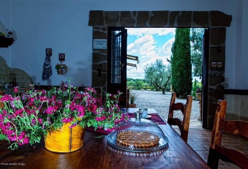 Il Giardino Dei Flintstones B&b  | Cerveteri | Roma | Italia 5