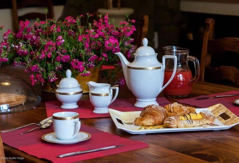 Il Giardino Dei Flintstones B&b  | Cerveteri | Roma | Italia 6