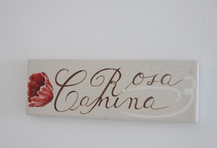 Bed and Breakfast Palazzo Pascal  | Scala | Salerno | Italia 8