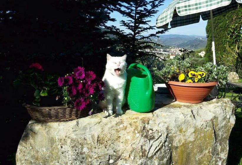 Bed and Breakfast Country Room Il Moro  | Rignano Sull'Arno | Florence | Italia 13