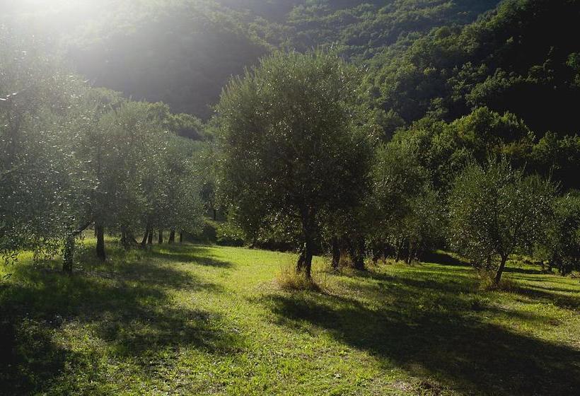 Bed and Breakfast Country Room Il Moro  | Rignano Sull'Arno | Florence | Italia 15