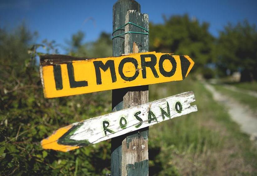 Bed and Breakfast Country Room Il Moro  | Rignano Sull'Arno | Florence | Italia 16