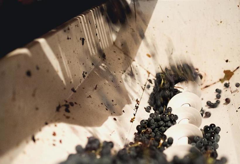 Bed and Breakfast Country Room Il Moro  | Rignano Sull'Arno | Florence | Italia 17