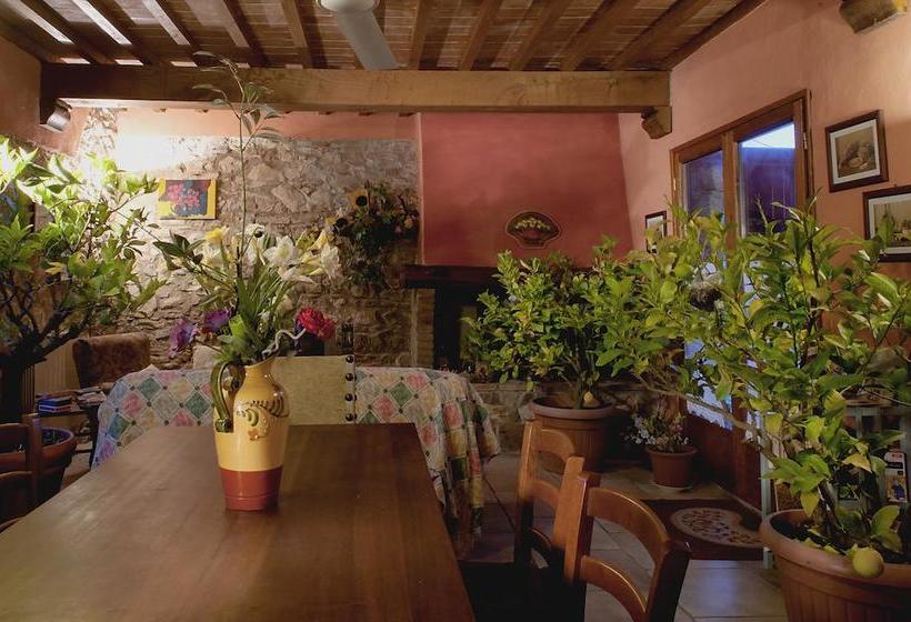 Bed and Breakfast Country Room Il Moro  | Rignano Sull'Arno | Florence | Italia 20