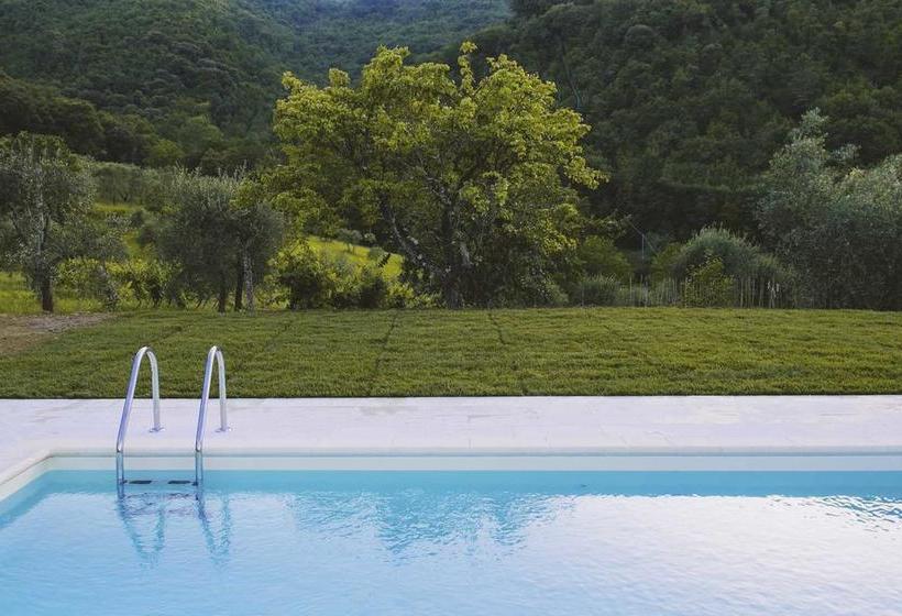 Bed and Breakfast Country Room Il Moro  | Rignano Sull'Arno | Florence | Italia 5