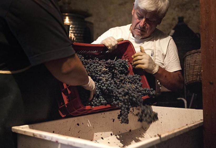 Bed and Breakfast Country Room Il Moro  | Rignano Sull'Arno | Florence | Italia 9