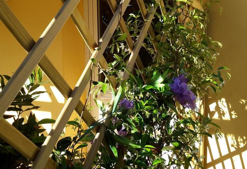 B&b Dal Pozzo  | Sorso | Sardegna | Italia 13