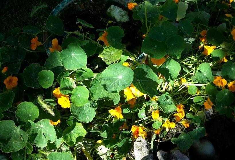 B&b Dal Pozzo  | Sorso | Sardegna | Italia 19