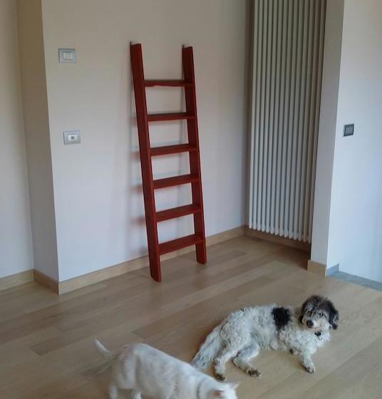 Bed and Breakfast Ohana  | Stresa | Verbano-Cusio-Ossola | Italia 12