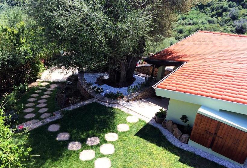 B&b Mariposa Budoni Cerdeña