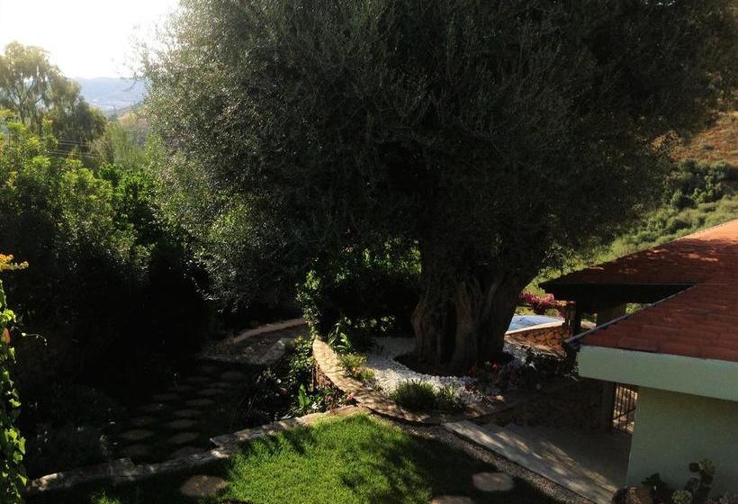 B&b Mariposa  | Budoni | Sardegna | Italia 3