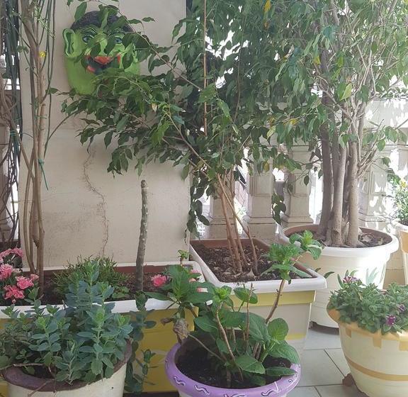 Bed and Breakfast La Stanza Blu  | Catania | Catania | Italia 20