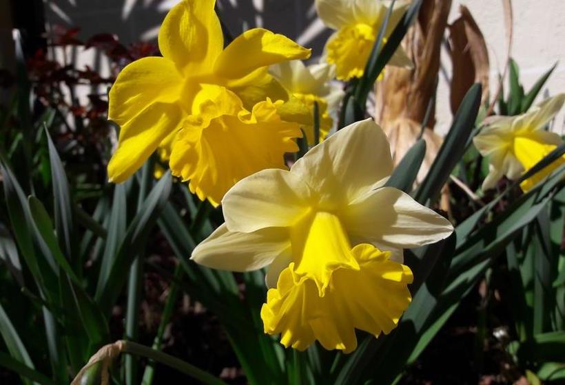 Livehotel Friedheim  | Algund | Bolzano | Italia 11