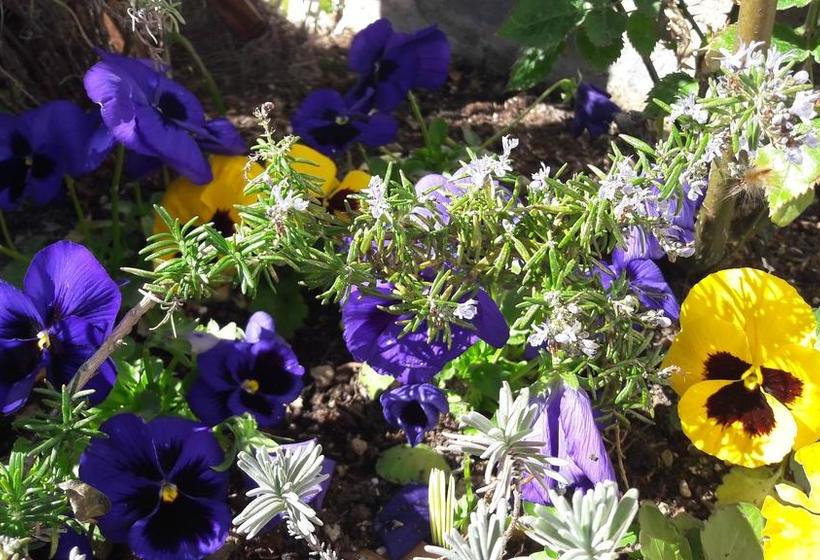 Livehotel Friedheim  | Algund | Bolzano | Italia 5