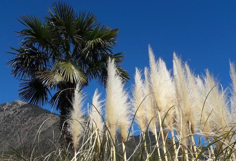 Livehotel Friedheim  | Algund | Bolzano | Italia 7