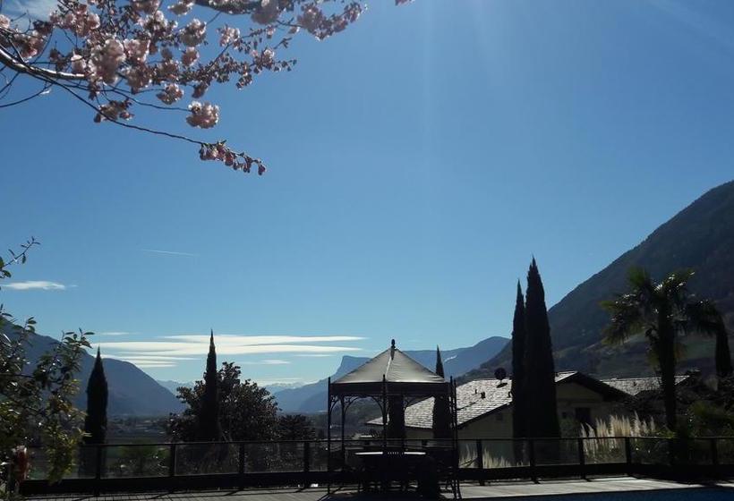 Livehotel Friedheim  | Algund | Bolzano | Italia 9