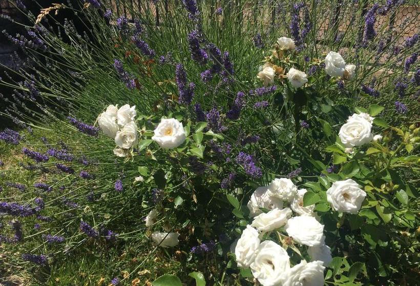 Bed And Breakfast Verdazzurro Pesaro e Urbino