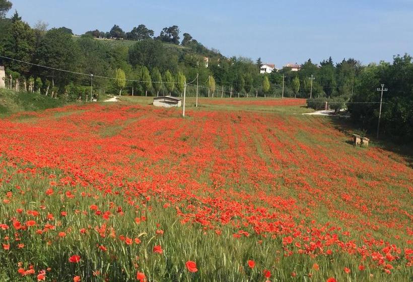 Bed And Breakfast Verdazzurro  | Fano | Pesaro e Urbino | Italia 3