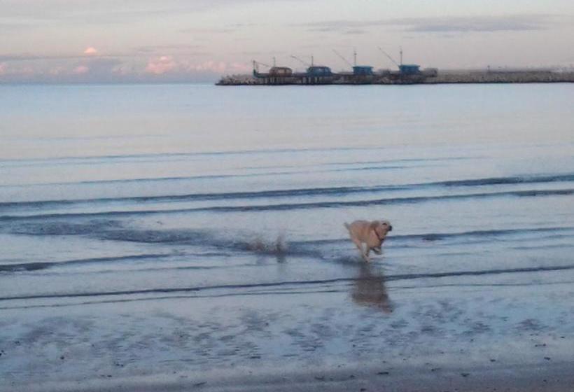 Bed And Breakfast Verdazzurro  | Fano | Pesaro e Urbino | Italia 6