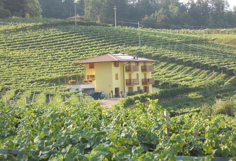 Bed and Breakfast Agritur Al Vigneto  | Trento | Trento | Italia 10