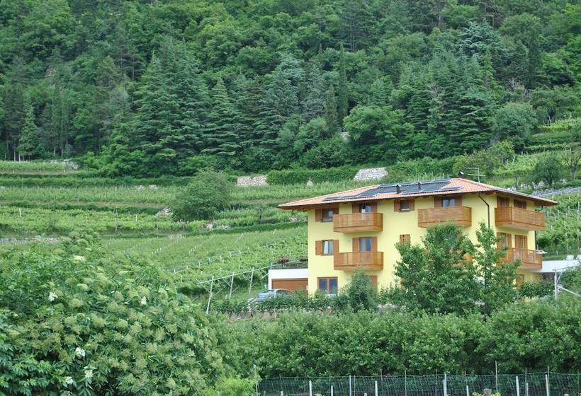 Bed and Breakfast Agritur Al Vigneto  | Trento | Trento | Italia 12