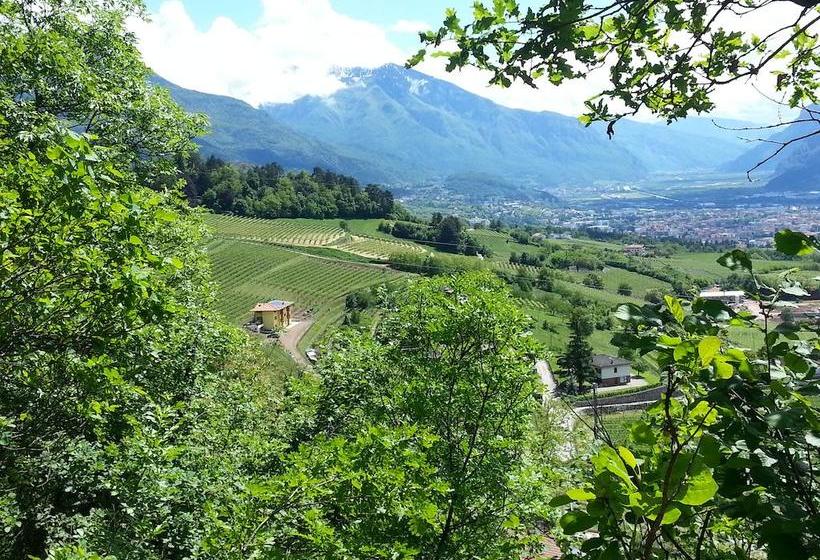 Bed and Breakfast Agritur Al Vigneto  | Trento | Trento | Italia 13