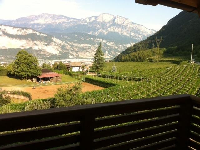 Bed and Breakfast Agritur Al Vigneto  | Trento | Trento | Italia 16