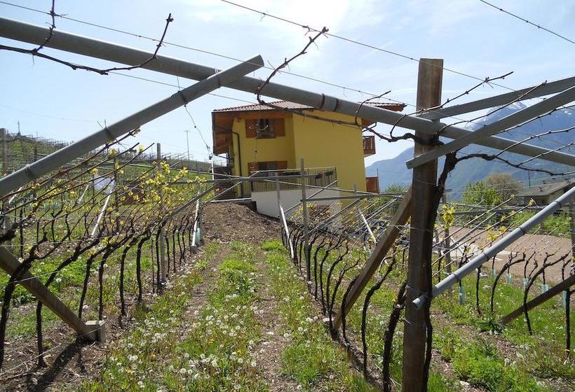 Bed and Breakfast Agritur Al Vigneto  | Trento | Trento | Italia 8