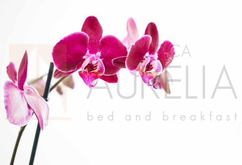 Antica Aurelia B&b  | Civitavecchia | Roma | Itália 6