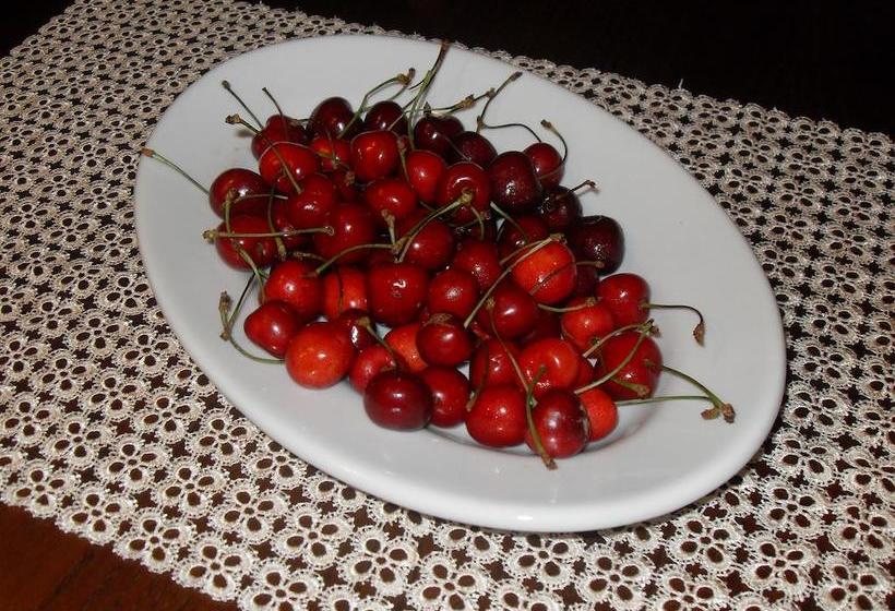 Bed and Breakfast Agriturismo Il Vignaletto  | Martina Franca | Taranto | Itália 8