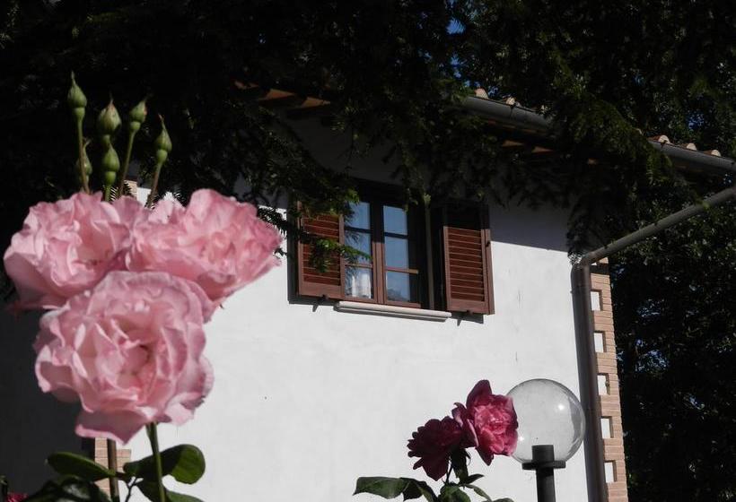 Bed and Breakfast Boscodisotto  | Rapolano Terme | Siena | Italia 12