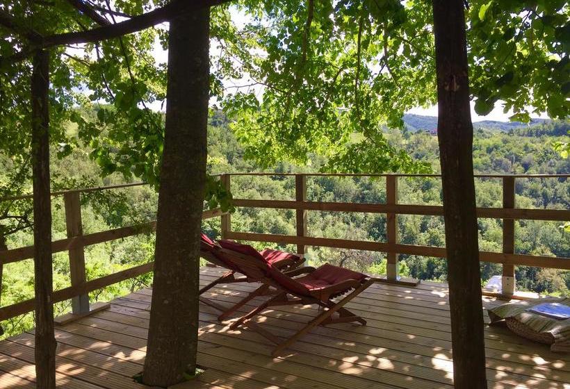 B&b Al Giardino Dei Mandorli  | Morsasco | Alessandria | Italia 1