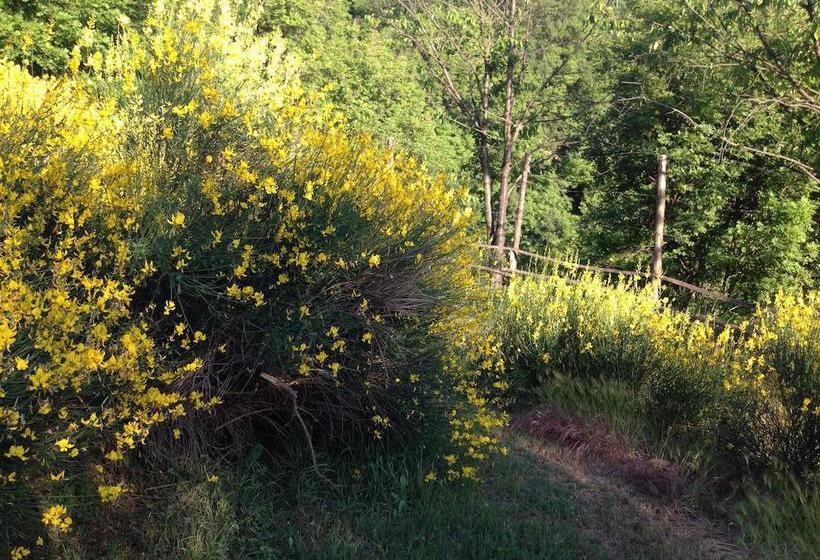 B&b Al Giardino Dei Mandorli  | Morsasco | Alessandria | Italia 18