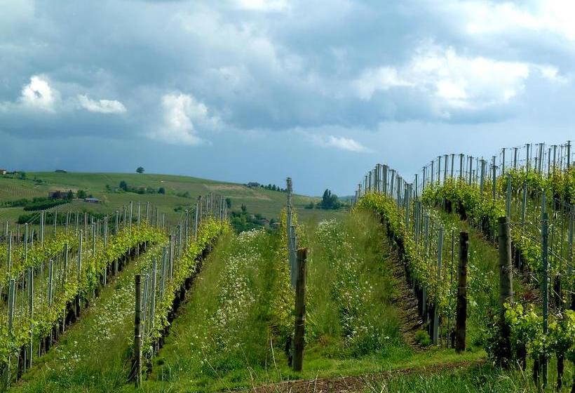 B&b Al Giardino Dei Mandorli  | Morsasco | Alessandria | Italia 19