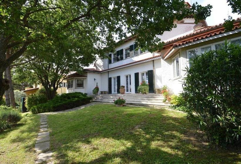 Bed and Breakfast Villa La Paleotta  | Fano | Pesaro e Urbino | Italia 1