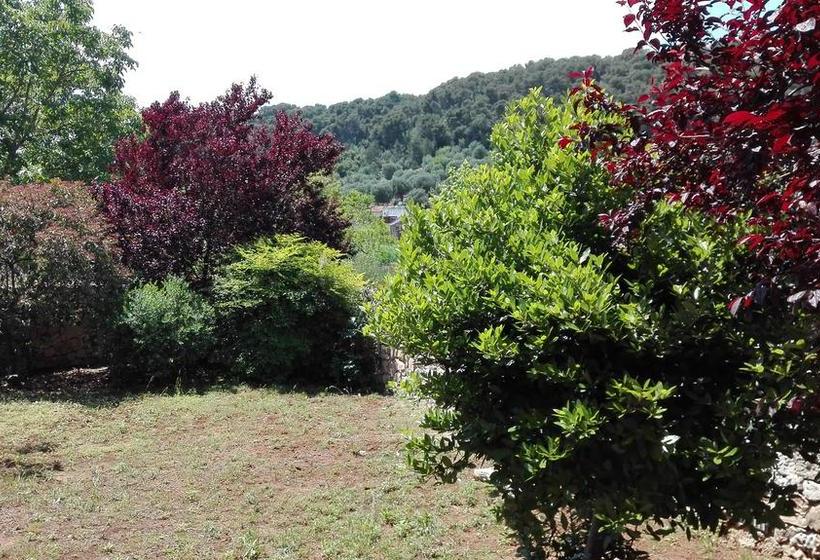 Giardini Irlandesi B&b  | Ruffano | Lecce | Italia 2