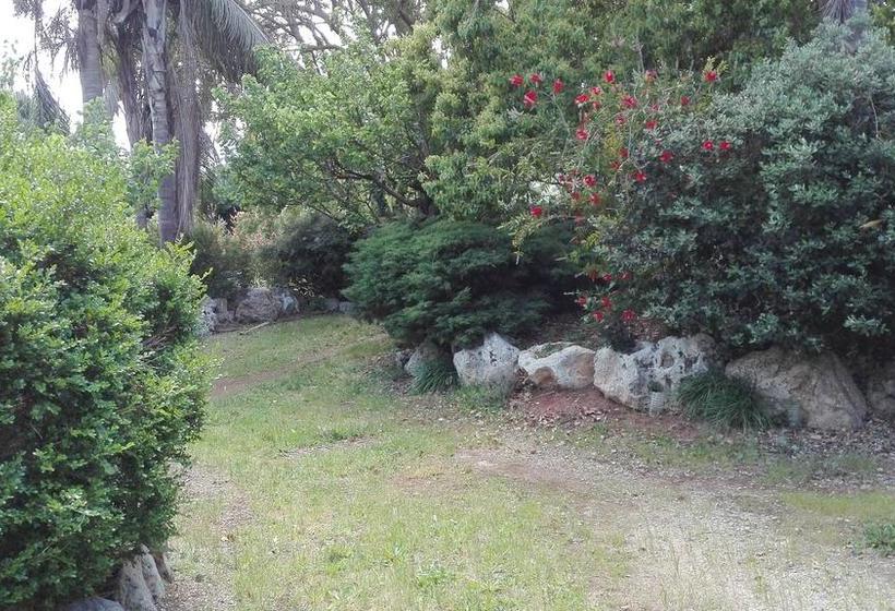 Giardini Irlandesi B&b  | Ruffano | Lecce | Italia 5