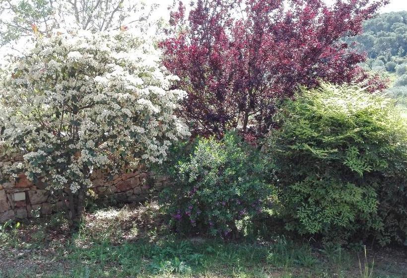 Giardini Irlandesi B&b  | Ruffano | Lecce | Italia 8