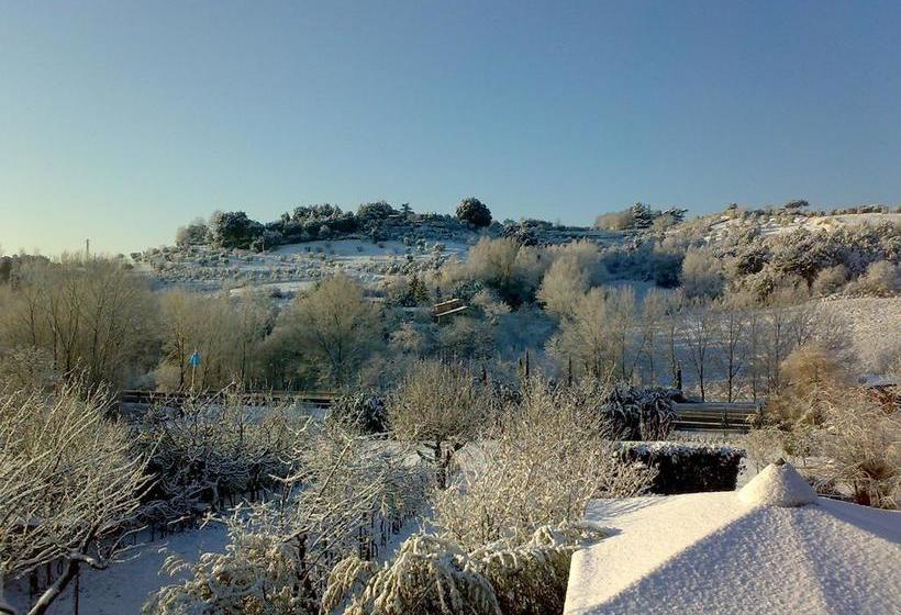 Bed and Breakfast Podere Il Pero  | Siena | Siena | Italia 10