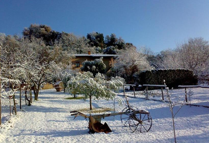 Bed and Breakfast Podere Il Pero  | Siena | Siena | Italia 12