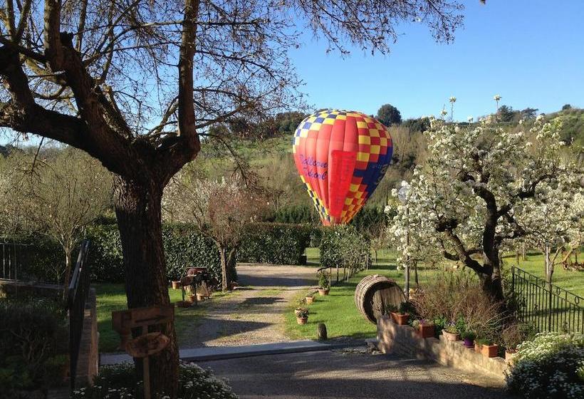 Bed and Breakfast Podere Il Pero  | Siena | Siena | Italia 16
