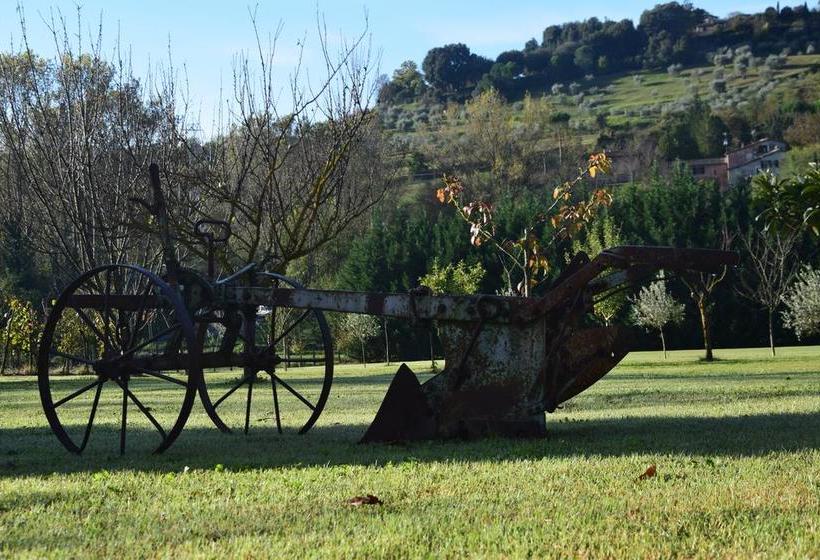Bed and Breakfast Podere Il Pero  | Siena | Siena | Italia 19